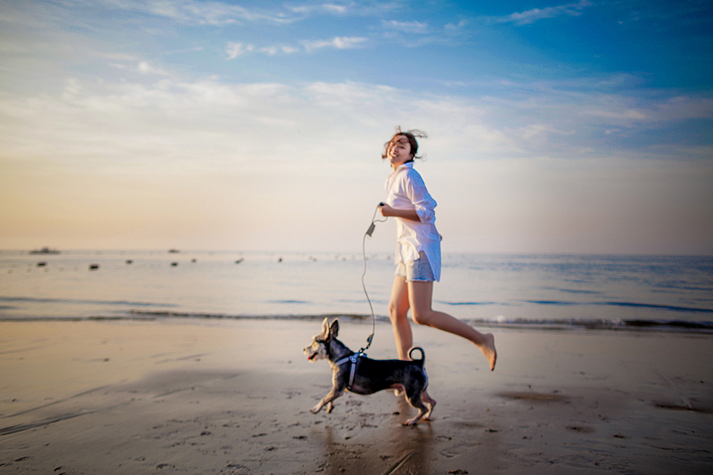 あなたを爱している