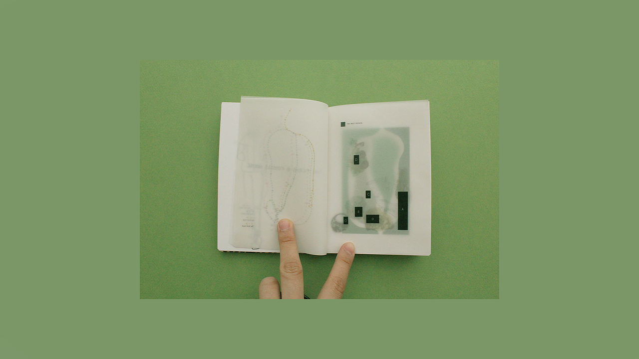 The Ferns & Fossils（图ZMjE3MTgzMjIw） - 书籍/画册 - 站酷设计师阿箔luxbo原创素材 - 站酷ZCOOL