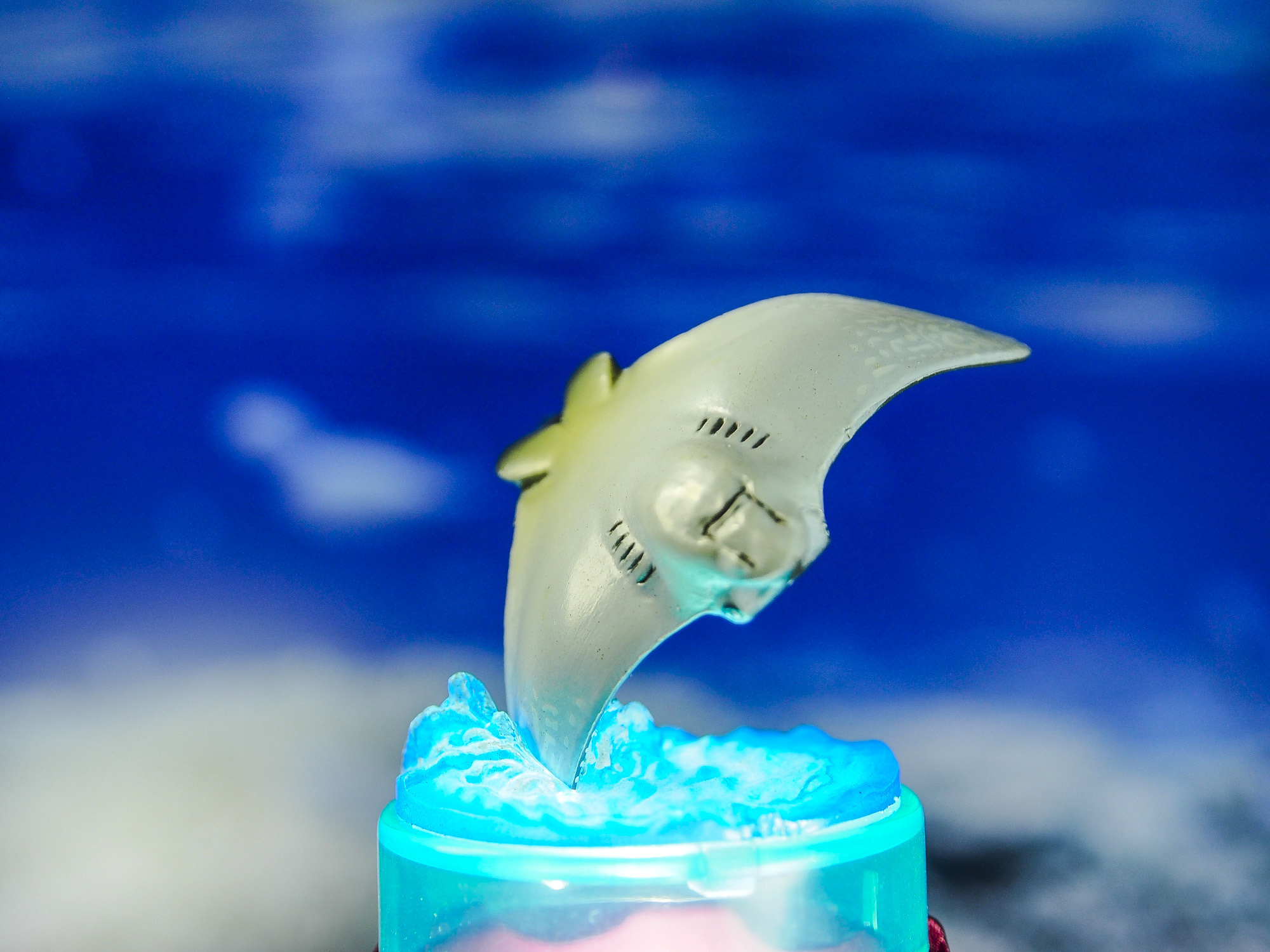 【摆拍】【kaiyodo】【玩玩具学姿势】 海洋堂 黑潮海洋动物第二弹