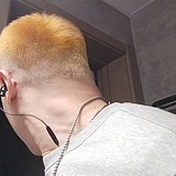 墨鱼moshee的头像