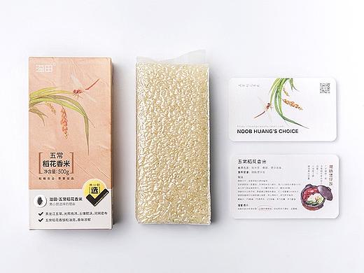 黄小厨产品包装插画