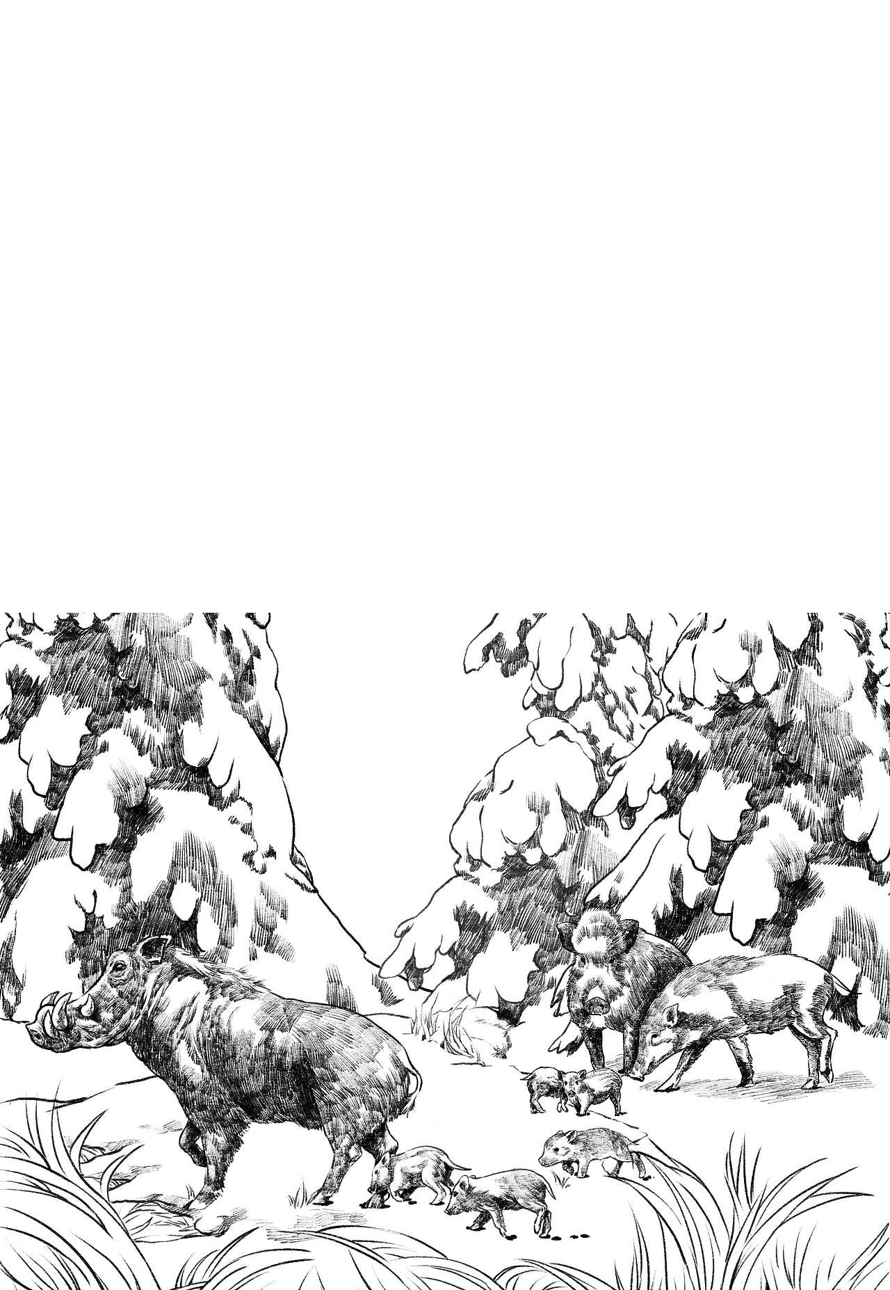 手绘风格动物插画（图ZMjQ5NTQxMjg=） - 儿童插画 - 站酷设计师四十二天原创素材 - 站酷ZCOOL