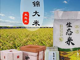 大米详情页