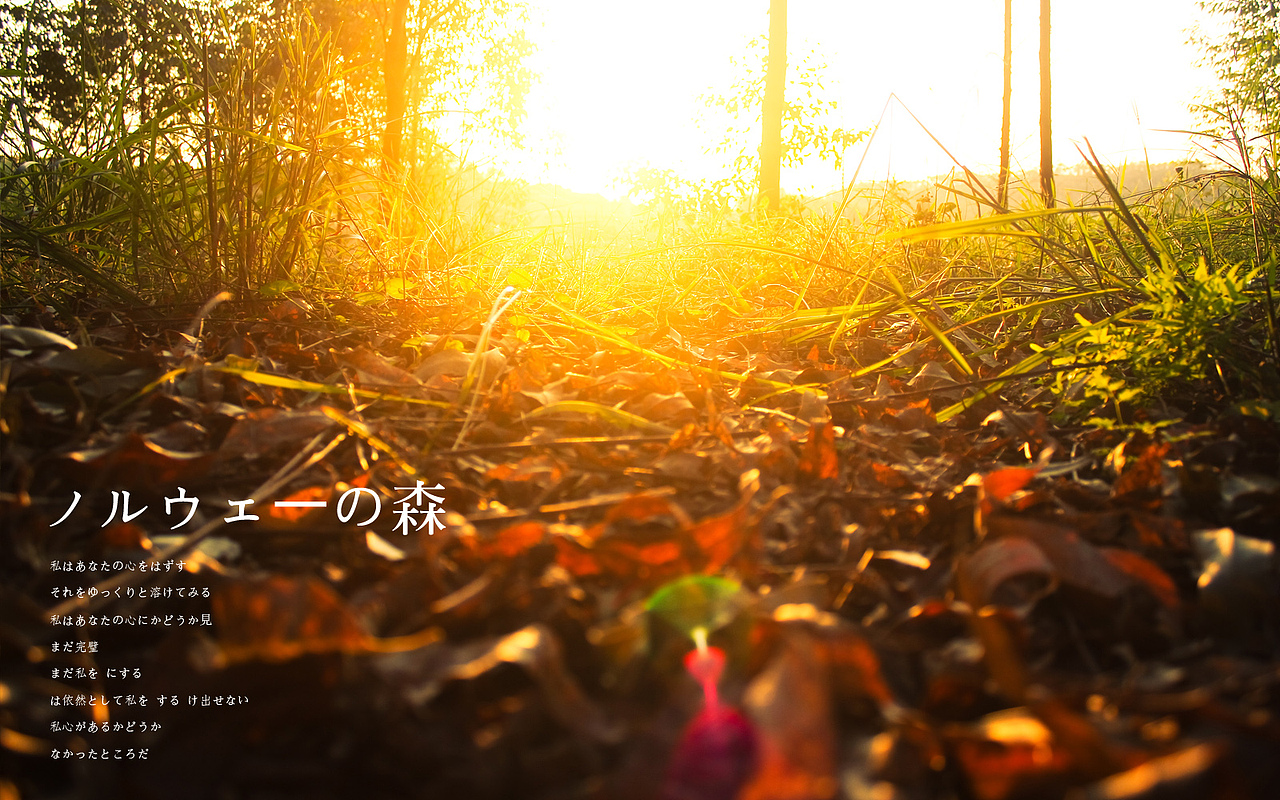 日出，日落，星空，夜。（上集）（图ZMTE3NzM0MjA=） - 风光摄影 - 站酷设计师michaelpst原创素材 - 站酷ZCOOL