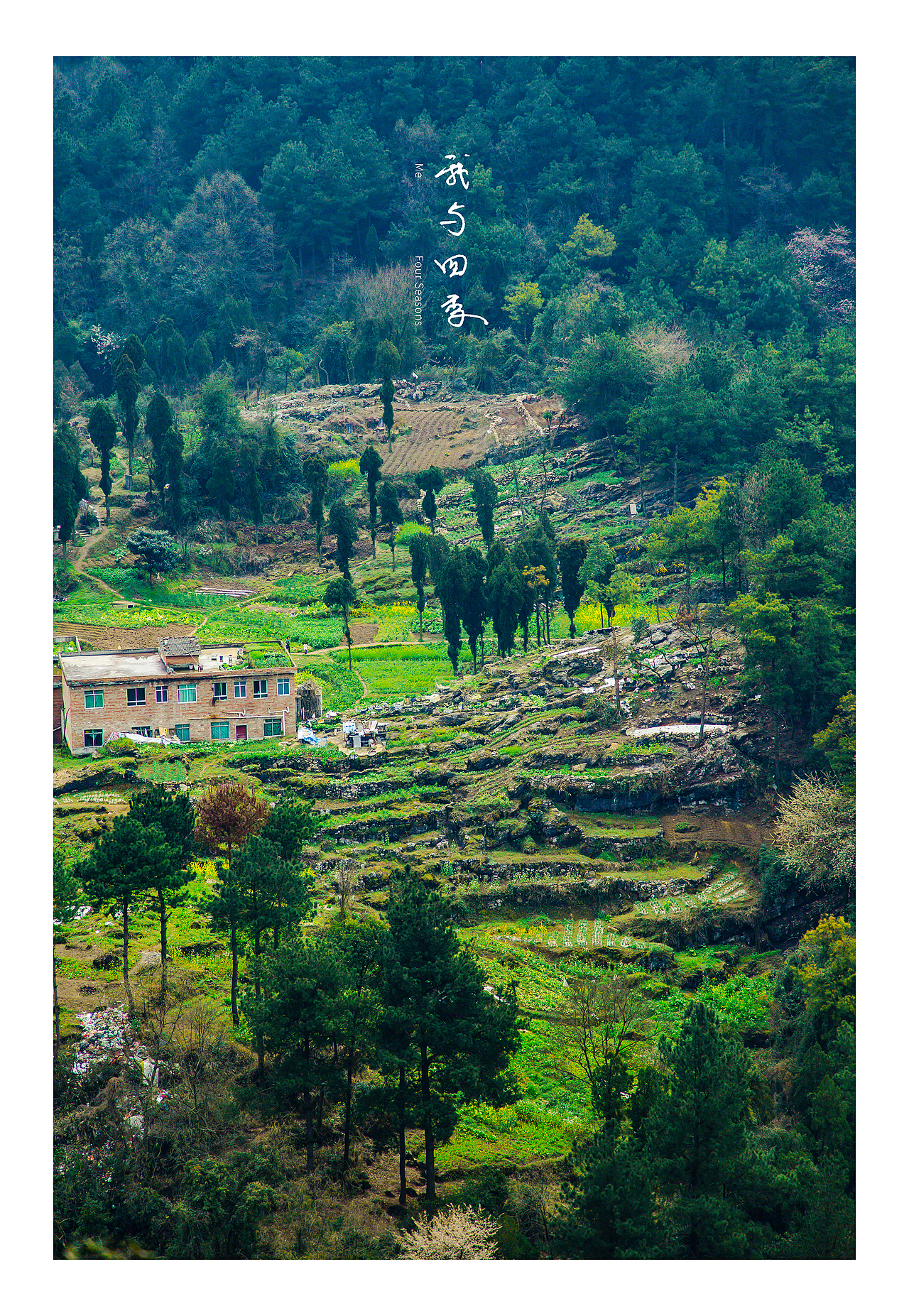 我与四季-ME-FOUR SEASONS