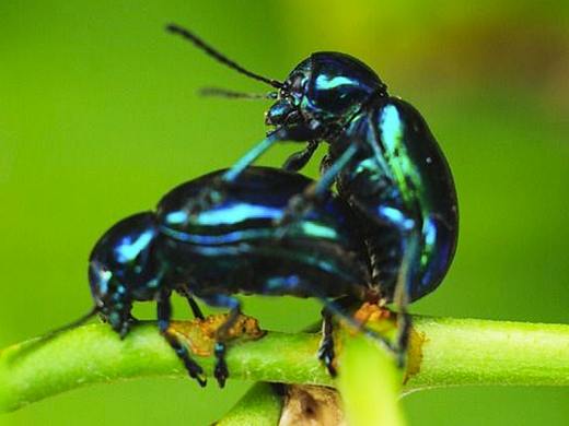 五彩斑斓的黑-引发的思考