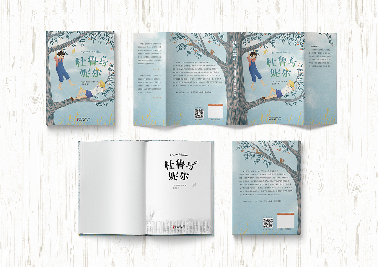 | 书籍封面设计 | 儿童小说《杜鲁与妮儿》