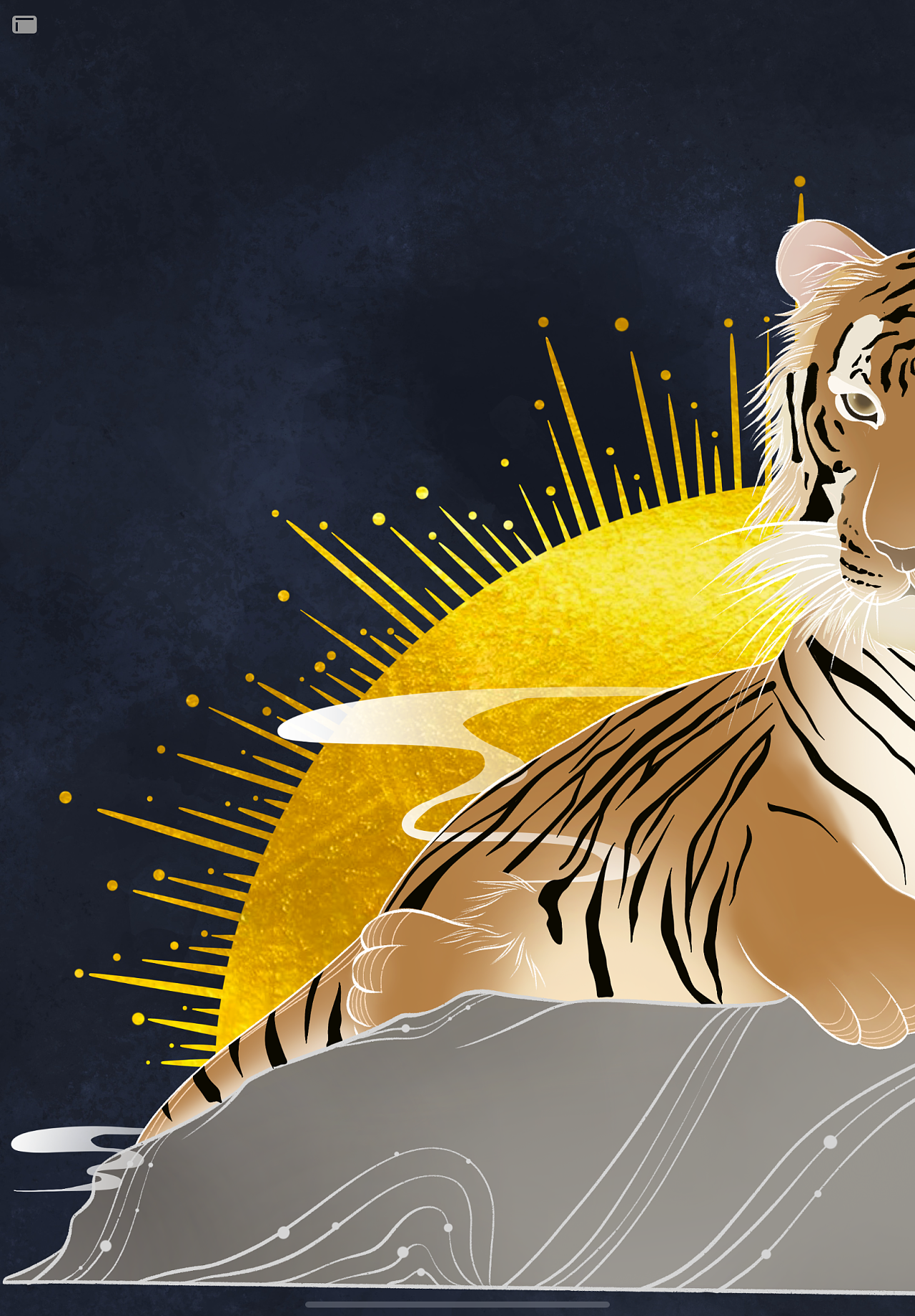 国家一级一等保护动物——虎|插画|商业插画|鸿与鹄 - 原创作品