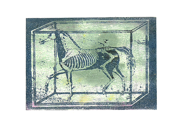 明胶版画 《罐子里的生物》（图ZMzQyMjY5MzIw） - 艺术插画 - 站酷设计师捉只太阳原创素材 - 站酷ZCOOL
