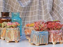 景德镇手工盆多肉系列