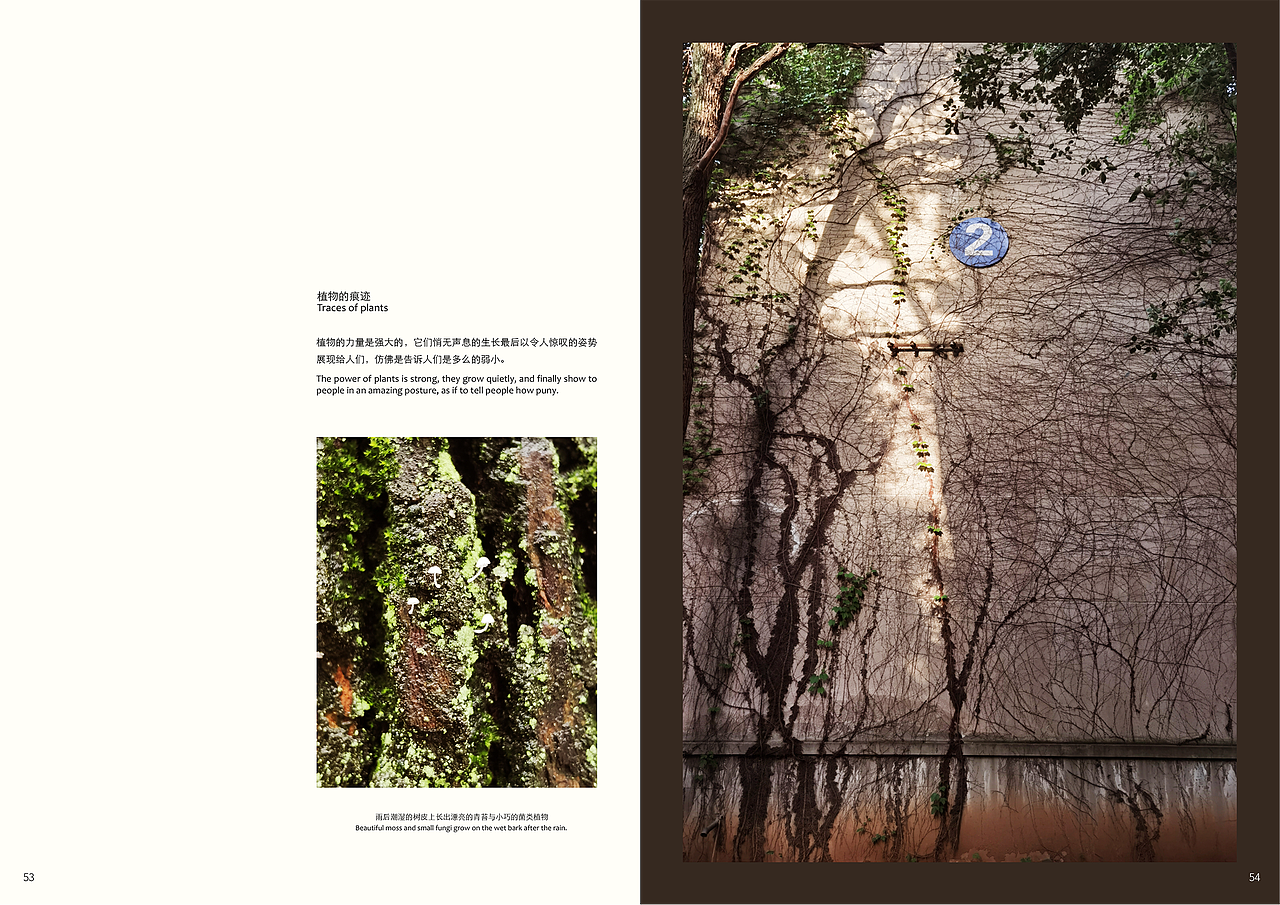 TRACKS 杂志（图ZMjU3NTkzMDEy） - 书籍/画册 - 站酷设计师这个仁叫首富原创素材 - 站酷ZCOOL