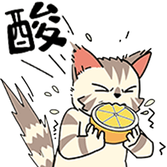 【微信表情包】甜品猫日常表情第一弹上线啦!!!