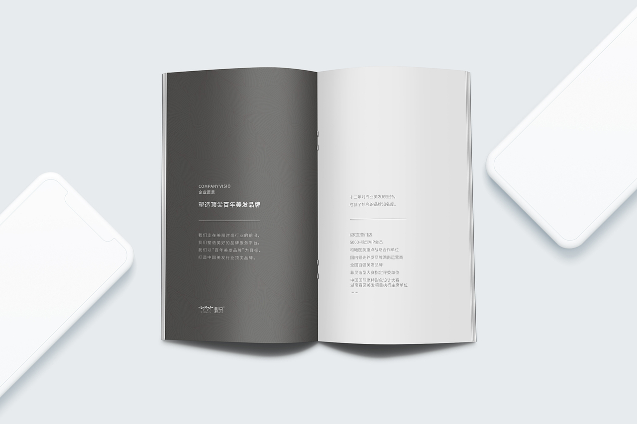 长沙画册设计-想亮（图ZMjczNzU5MzE2） - 书籍/画册 - 站酷设计师长沙画册设计原创素材 - 站酷ZCOOL