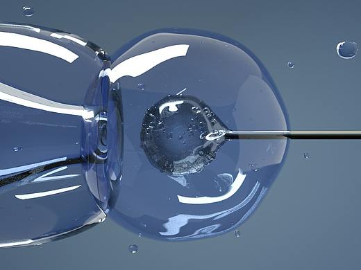 動(dòng)畫——針頭動(dòng)畫（個(gè)人主頁-ZNDI0OTY4Mjg=） - 短片 - 站酷設(shè)計(jì)師zxy1340348906原創(chuàng)素材 - 站酷ZCOOL