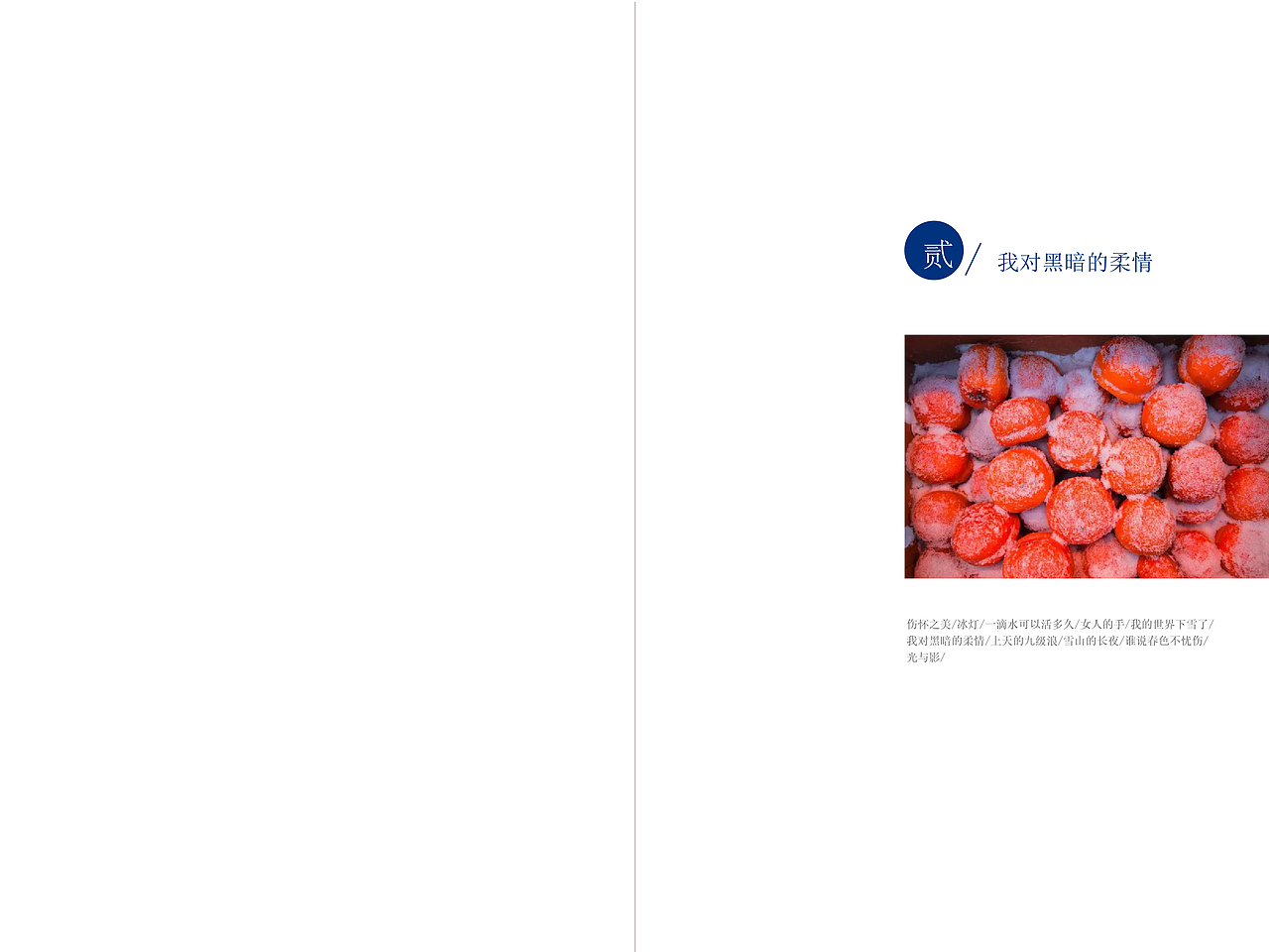 书籍设计（图ZMjE3MDgxMTE2） - 书籍/画册 - 站酷设计师F番茄F原创素材 - 站酷ZCOOL
