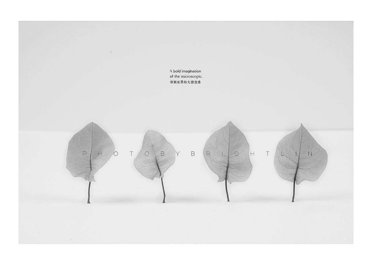 微观世界的大胆想象——三叶梅