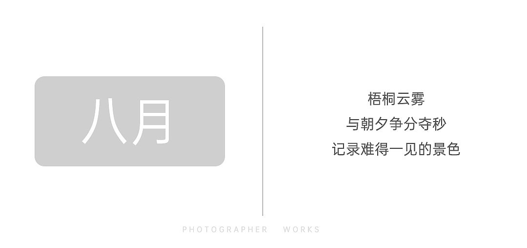 2021丨年度摄影报告:定格瞬间,影见视界