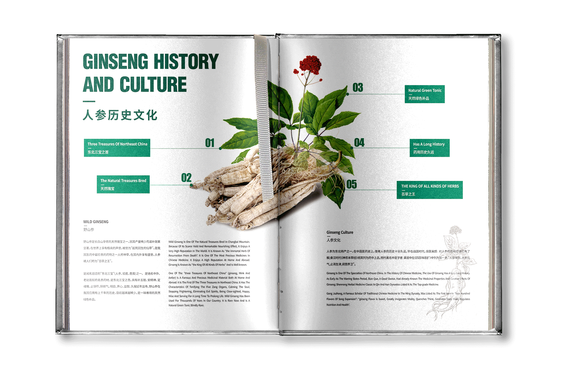 养生草药手册 I 精装纪念版