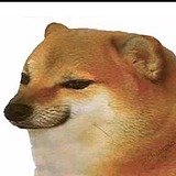 FunnyDogTan的头像