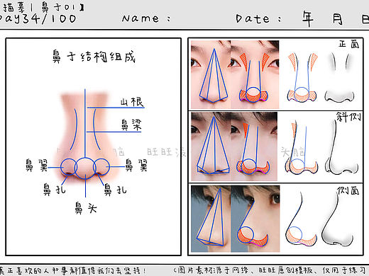🌷Day34|鼻子01|零基础学插画