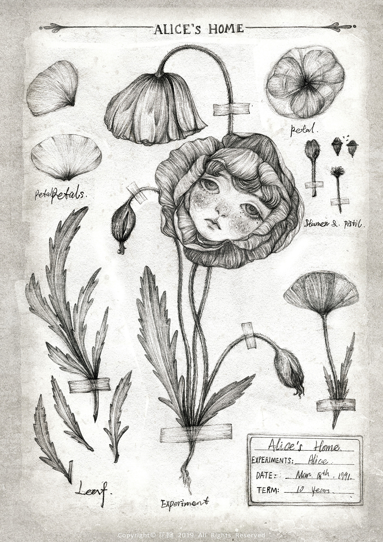 复古娃黑白线稿整理~