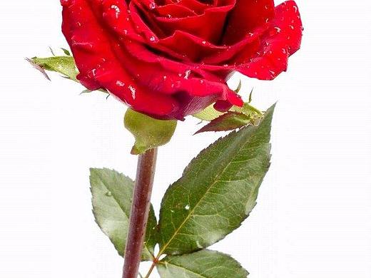 2018-9-9（個人主頁-ZMzAxMjQ3Mjg=） - 創(chuàng)作習作 - 站酷設(shè)計師嘟嘟嘟007原創(chuàng)素材 - 站酷ZCOOL