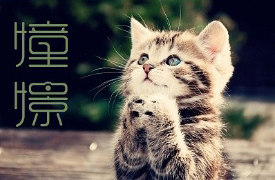 一些字体（图ZODQxMjA0OA==） - 字体/字形 - 站酷设计师海边来的聪聪原创素材 - 站酷ZCOOL