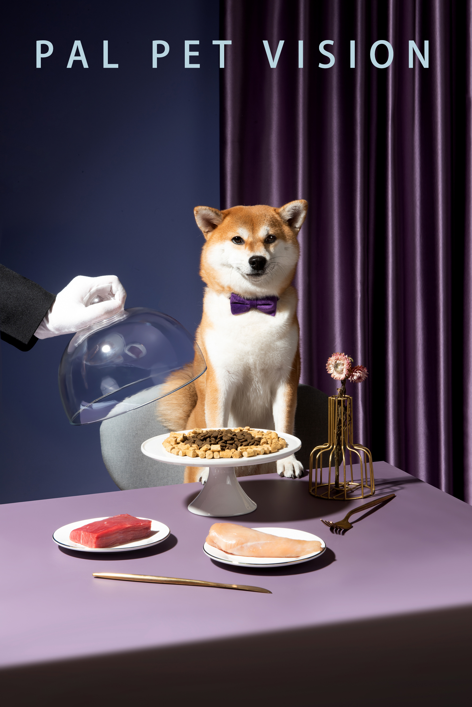 宠物食品/猫粮/宠物用品摄影|珀珀宠影