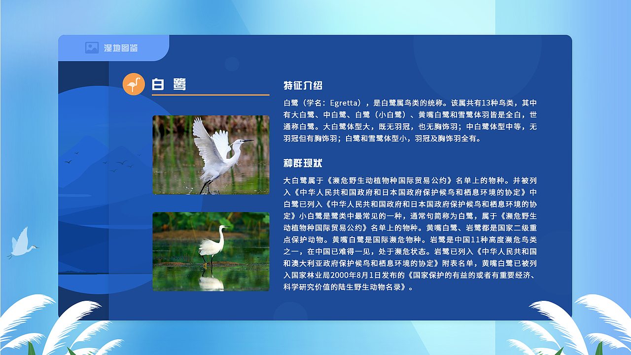 多媒体UI界面-湿地知识&湿地图鉴少年科普馆
