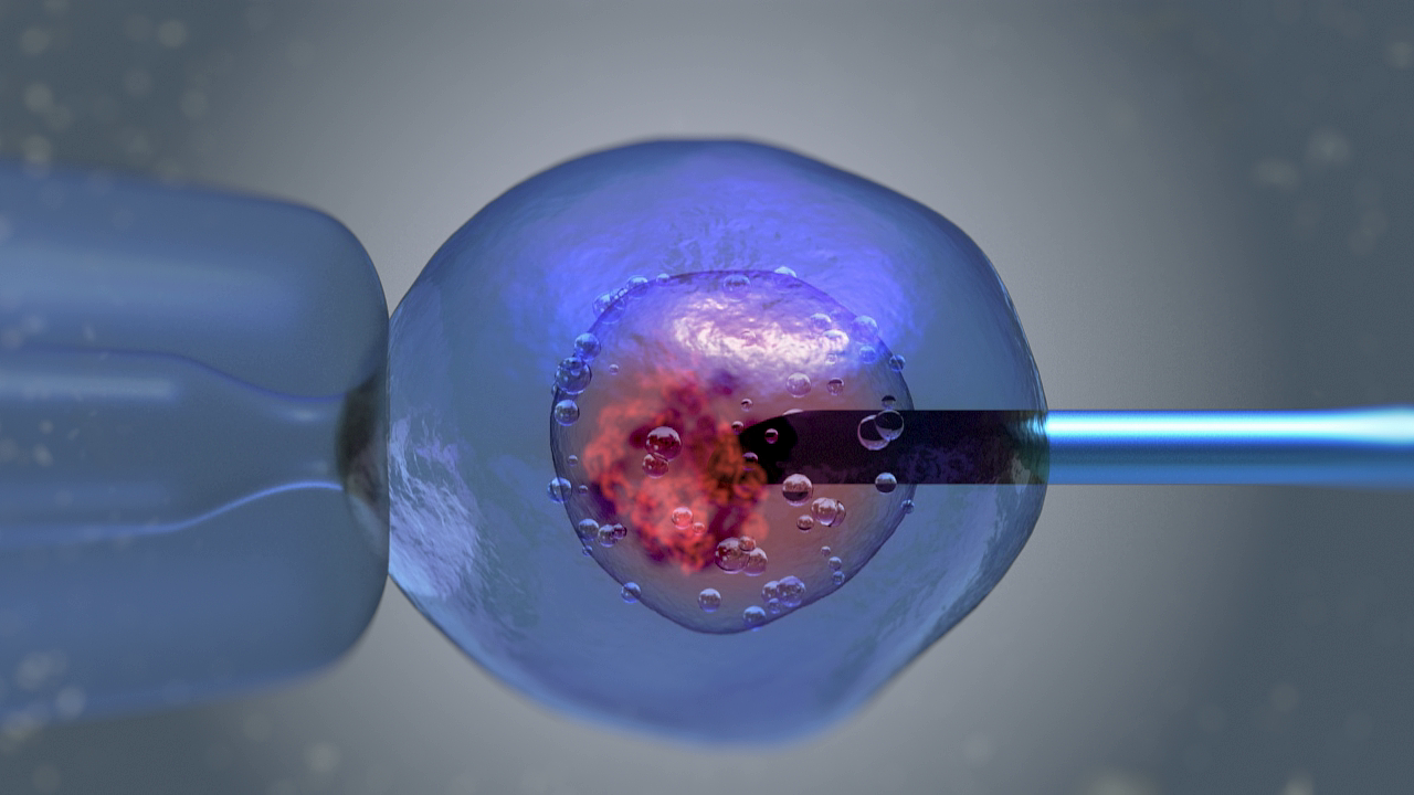 微观医学细胞注射（图ZMTUxMTYwODM2） - 影视后期 - 站酷设计师红凛茶原创素材 - 站酷ZCOOL