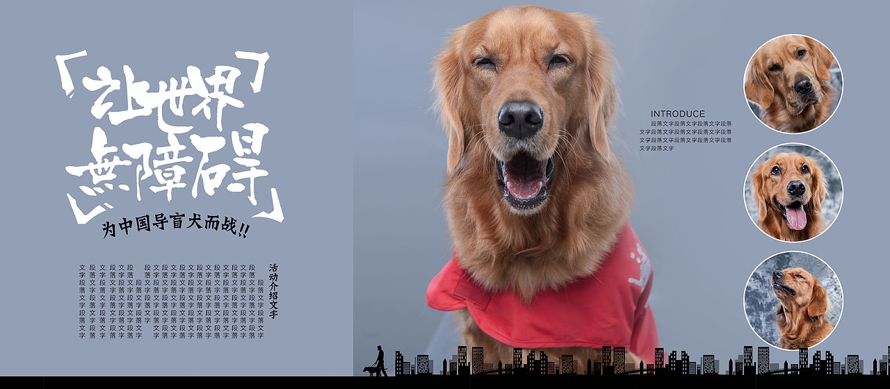 为中国导盲犬而战