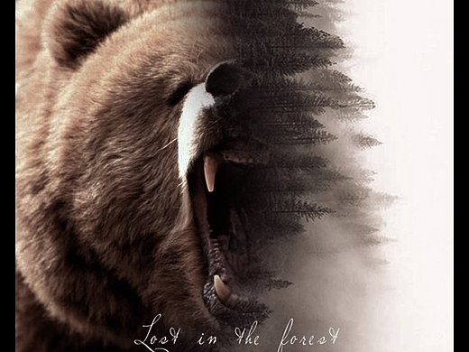 双重曝光 - 迷失森林
