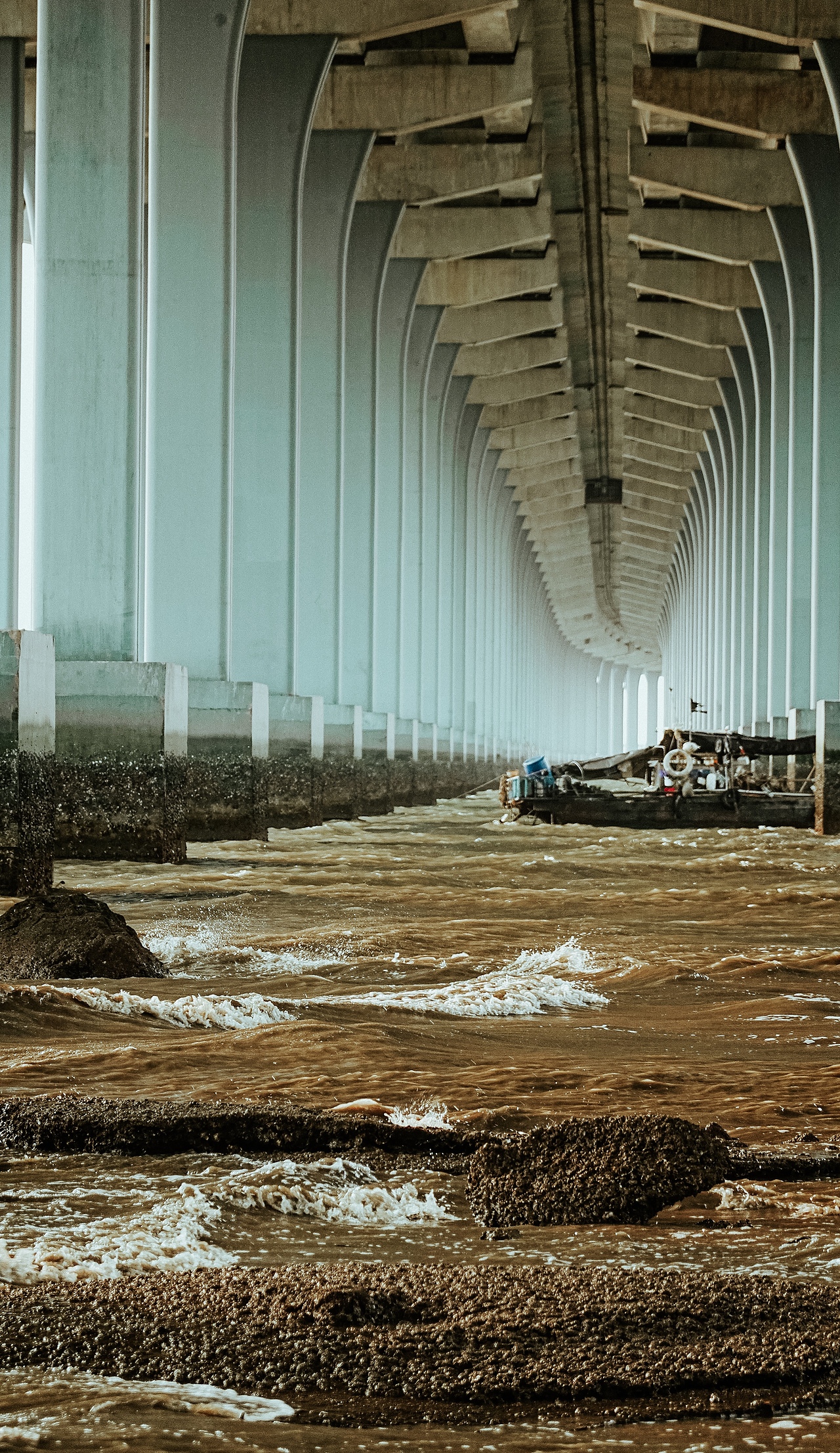 孤傲（图ZMTc2NDMyMDg0） - 人文/纪实摄影 - 站酷设计师拾光朝圣者原创素材 - 站酷ZCOOL