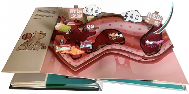 宠物立体书:什么叫立体书?(图ZMjg1NTY4MzUy) - 工艺品设计 - 站酷设计师立体书设计制作原创素材 - 站酷ZCOOL