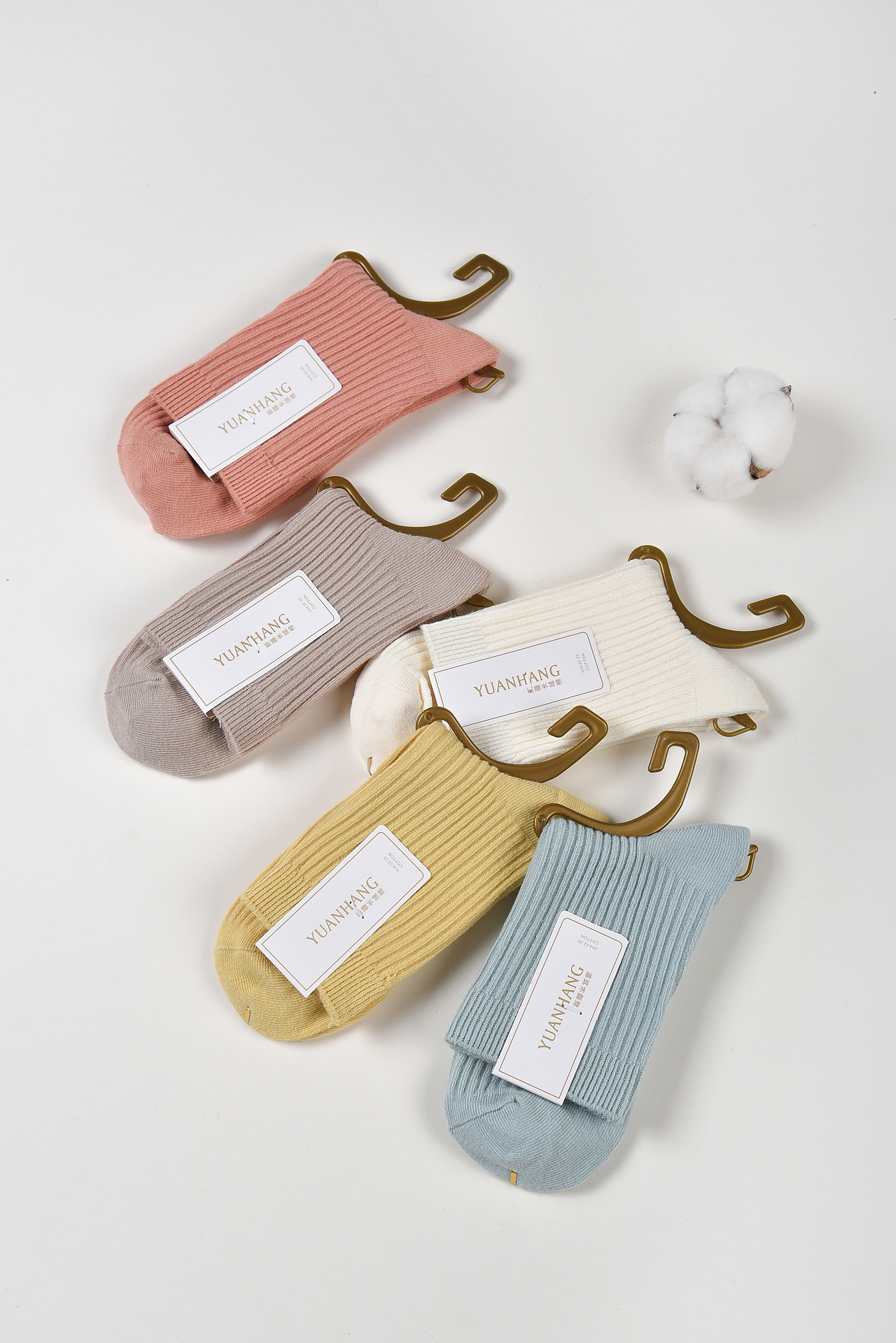 秋冬 女士纯棉袜拍摄