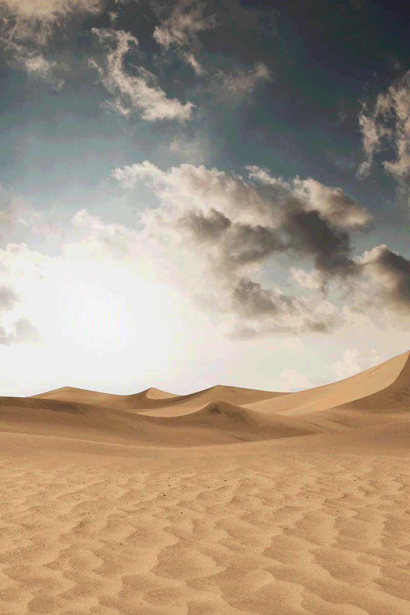 合成练习|海报|平面|张mo王 - 原创设计作品 - 站酷 (zcool)