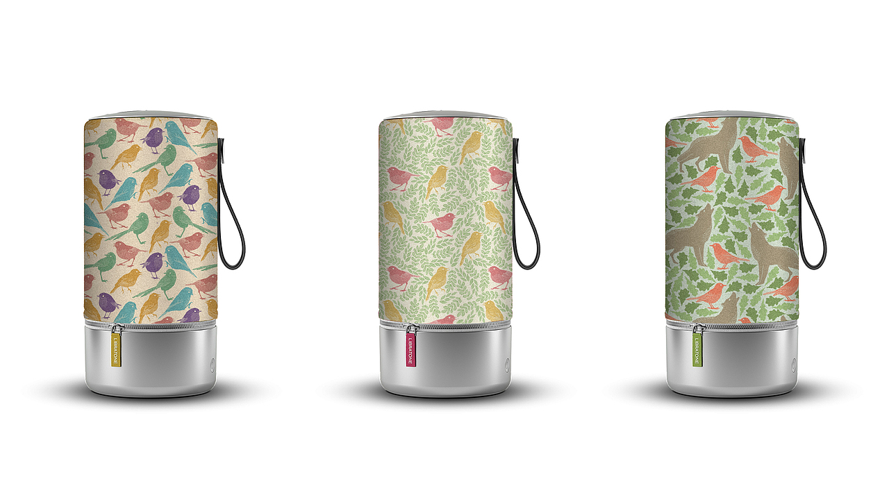 《春天里的鸟儿》