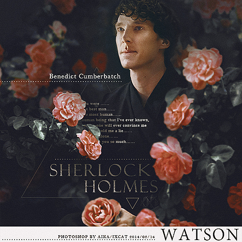 【花&男】°卷福=W=