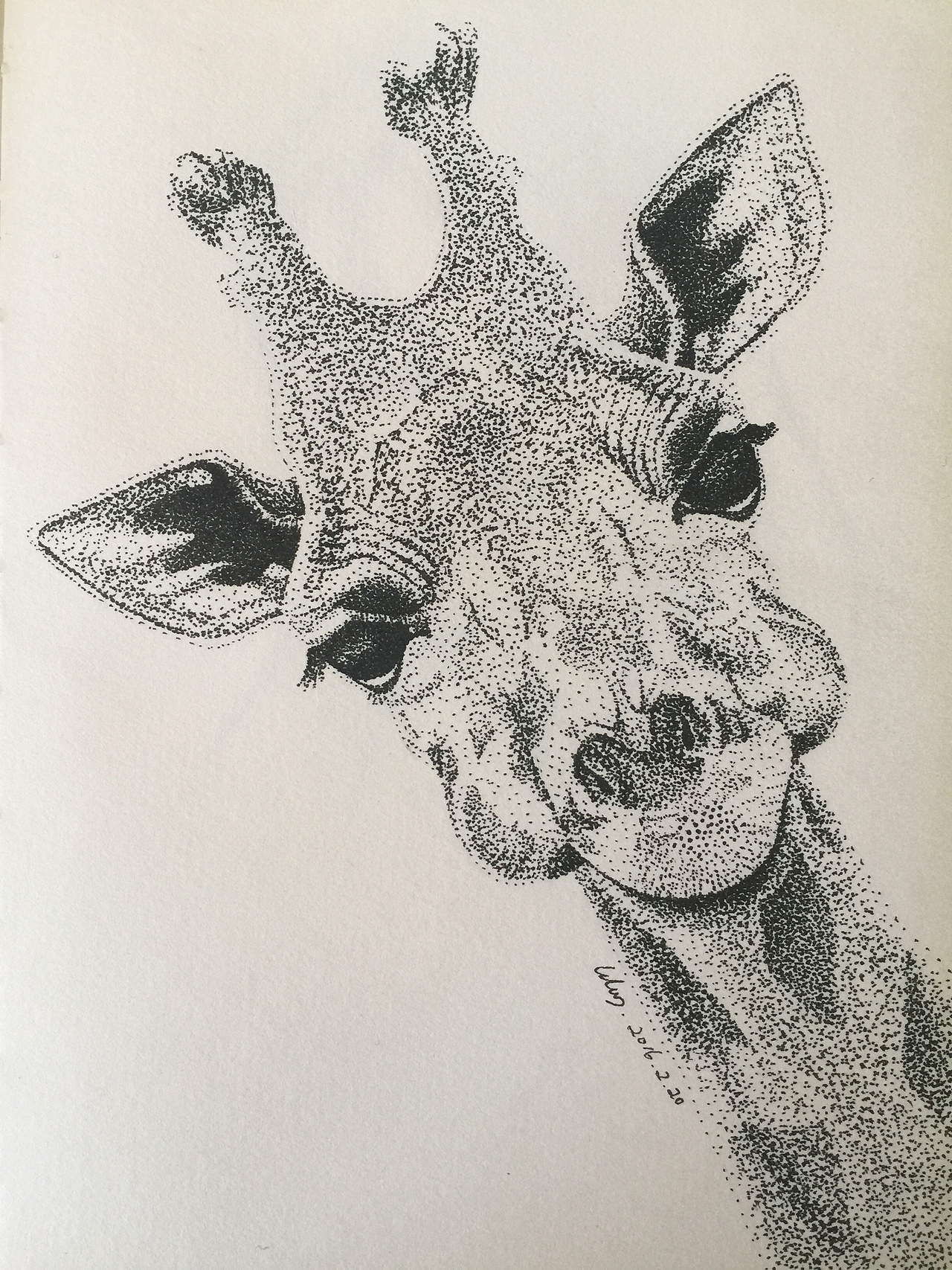 针管笔点画：长颈鹿（图ZNDM1NDcyMDQ=） - 创作习作 - 站酷设计师从心漫生活原创素材 - 站酷ZCOOL