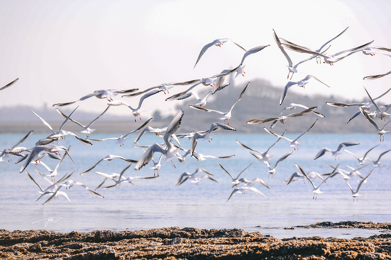 青岛印象。（图ZMTA1NjEwOTI4） - 风光摄影 - 站酷设计师Dinvan丁凡原创素材 - 站酷ZCOOL