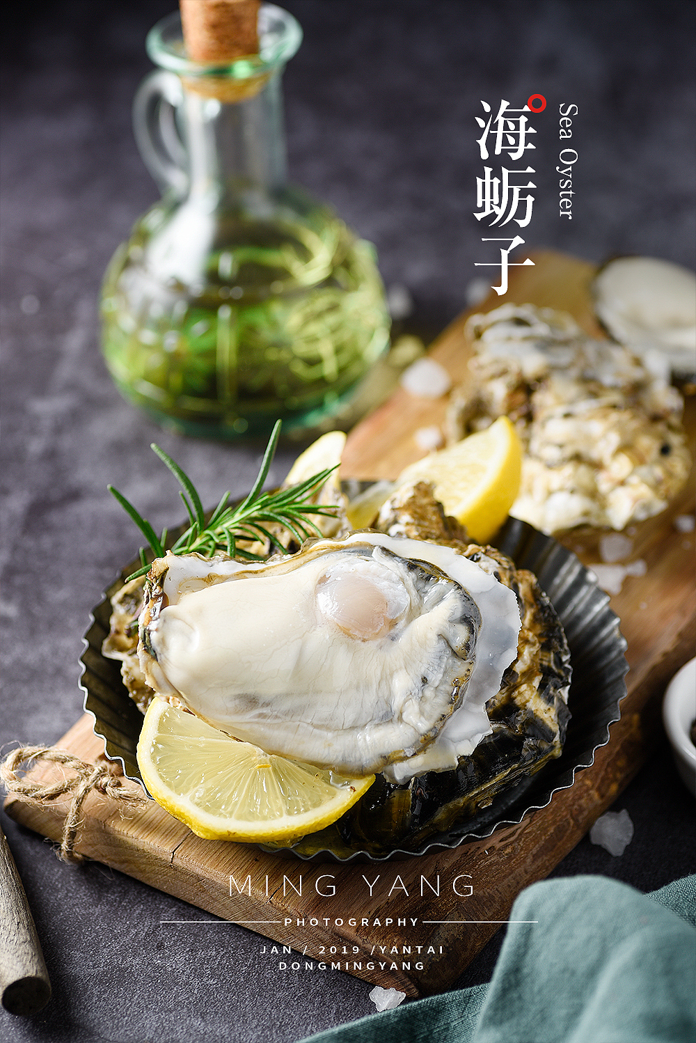 海蛎子/生蚝拍摄