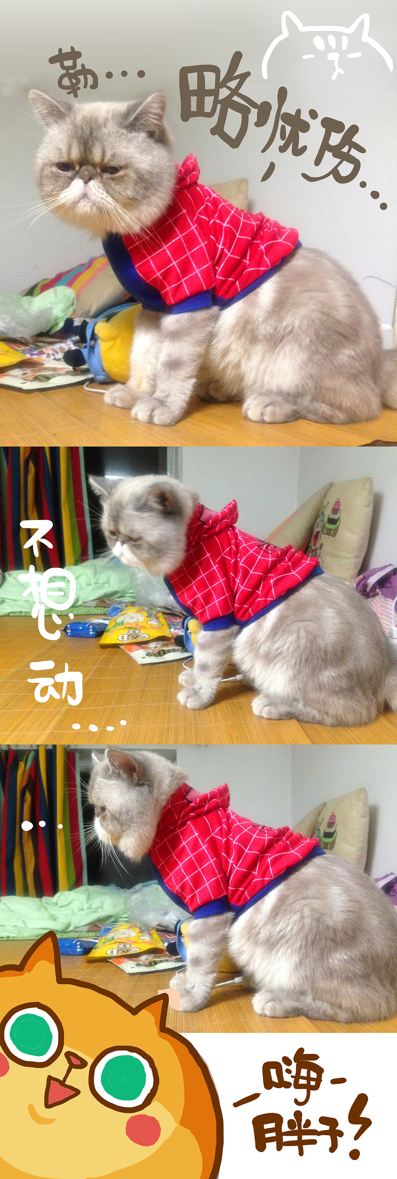 我的家的二大宝新专辑!《拜基vs反丁》~啊哈哈最新弹~