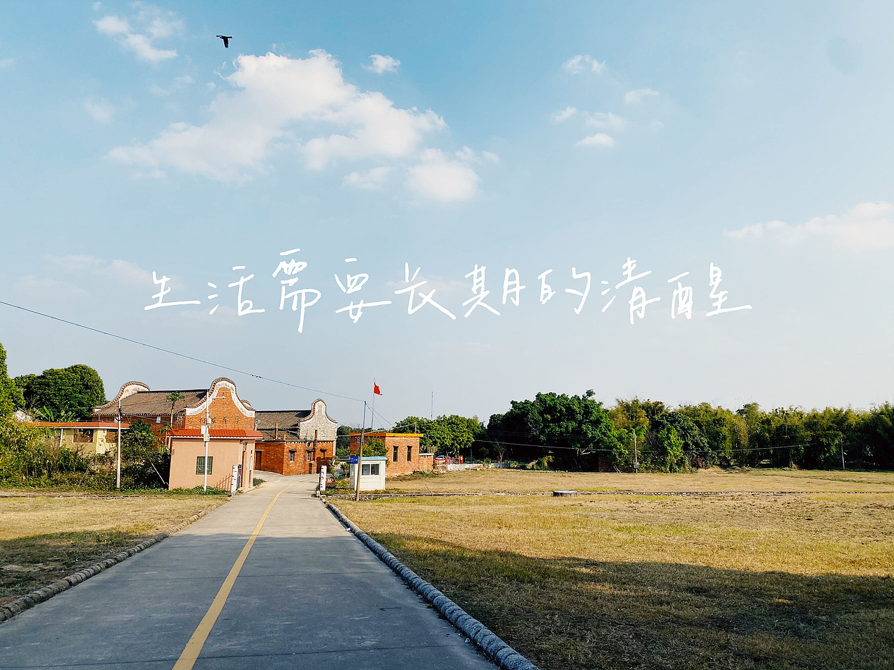 生活需要长期的清醒