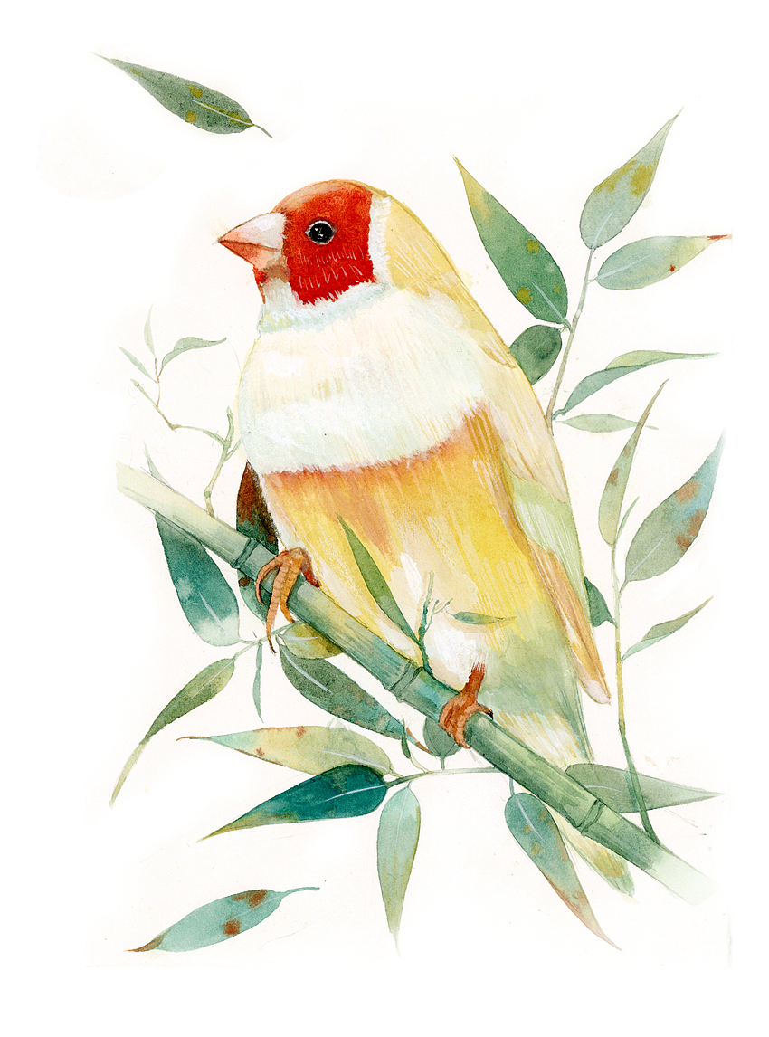 2019年终插画总结（图ZMTkxNDE0OTU2） - 商业插画 - 站酷设计师瑶背背原创素材 - 站酷ZCOOL