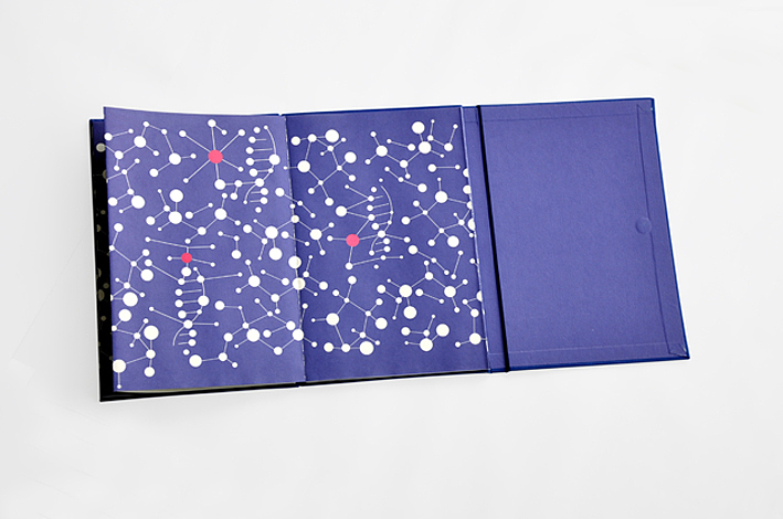 龙脉基因品牌形象画册设计