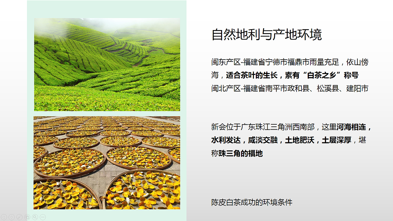 陈皮白茶-白毫银针丨茶叶包装设计方案（图ZMjgxNzY3NDQ0） - 包装 - 站酷设计师KKi设计原创素材 - 站酷ZCOOL
