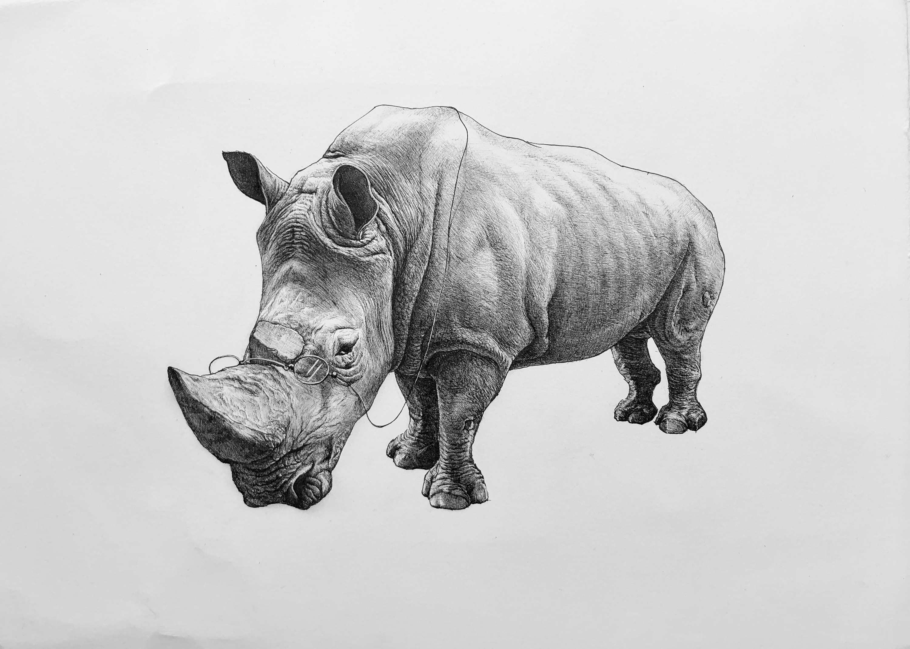犀牛钢笔画图片