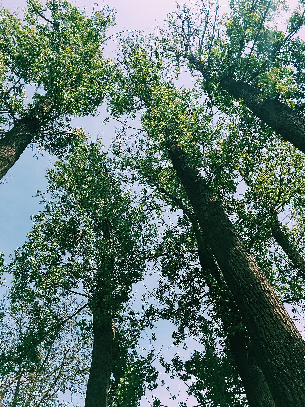 古北水镇