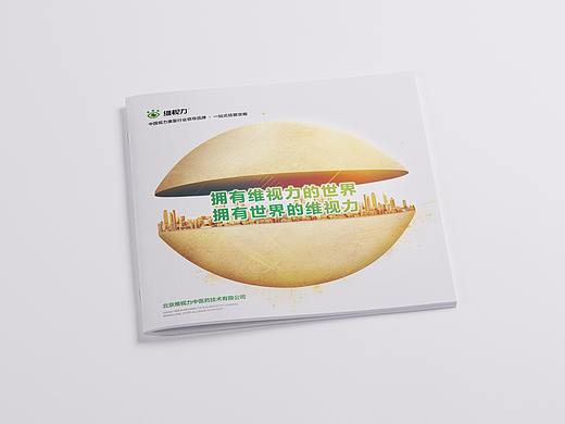 维视力招商画册