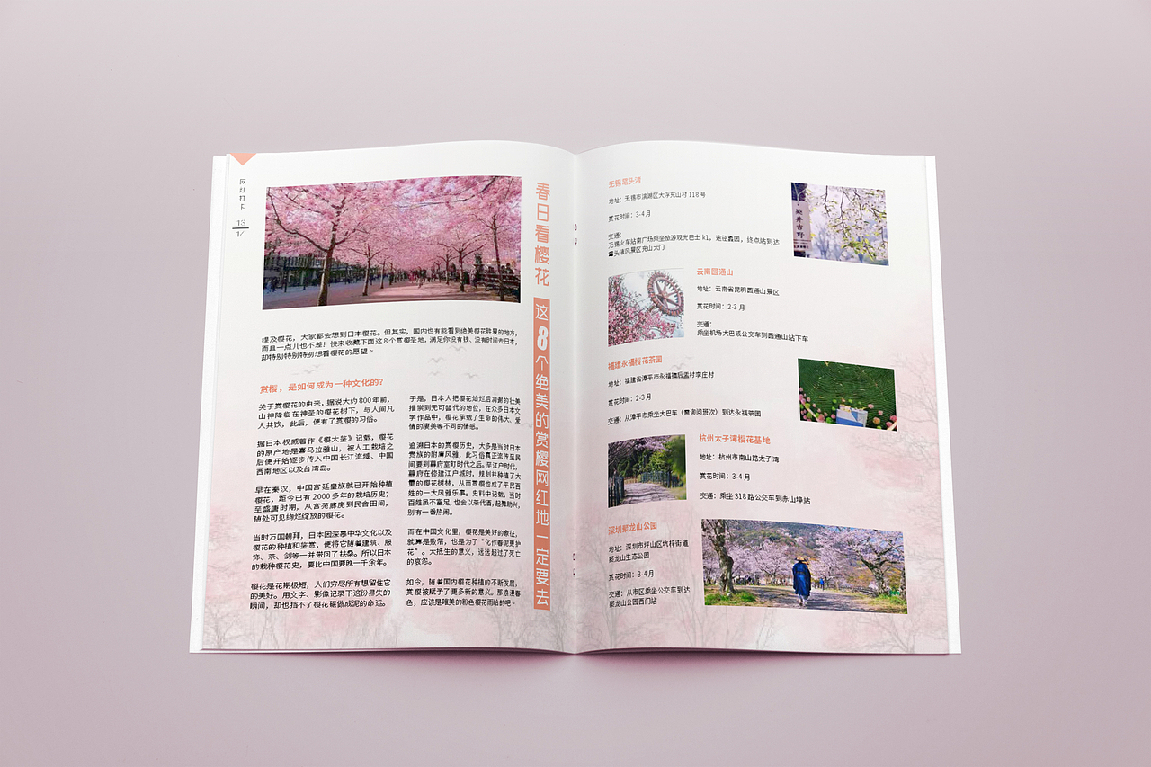 杂志三（图ZMTcxODc2MjE2） - 书籍/画册 - 站酷设计师一一是只汪原创素材 - 站酷ZCOOL